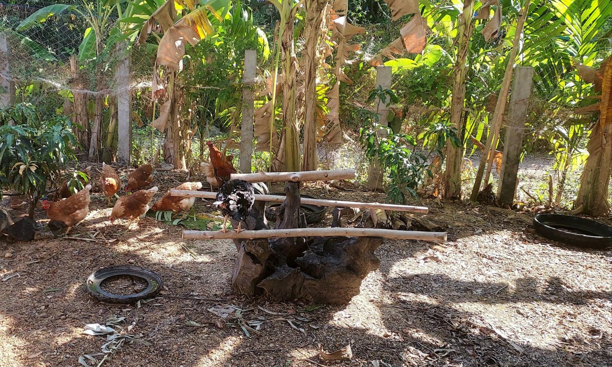 Khwahol Guesthouse Don Sak Buitenkant foto